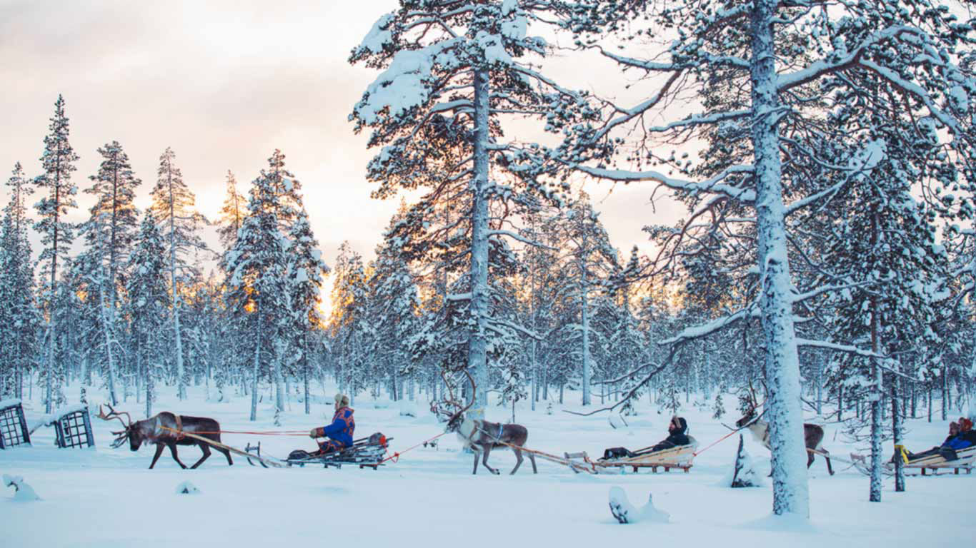 Frozen - Gallery Image #373